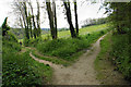 Dividing path near Coulsdon