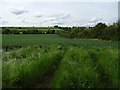 SP2733 : Farmland north of Barton Road by Philip Halling