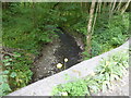 Brook passing below the lane