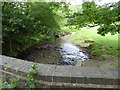 Stream passes under the bridge and lane