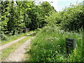 Entrance drive to Hough Holm Farm, Suton