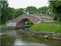 SP1870 : Canal bridge near Kingswood in Warwickshire by Roger  D Kidd