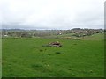 A field with a view