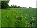 Footpath to Great Wolford