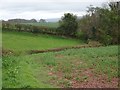 Fields near Ullingswick