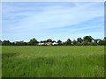 Lime Kiln Field