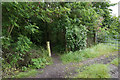 Path off Wood Lane, Great Preston