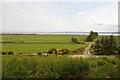 View over the Dornoch Firth at Eaglefield, Sutherland