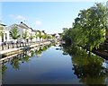 The Newry Canal above Needham