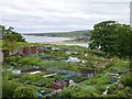 NU0052 : Lions House Allotments Berwick-Upon-Tweed by Jennifer Petrie