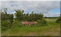 SW Coast Path leaves the road for the fields