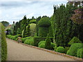 Topiary at Norton Court, near Teynham