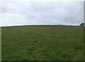 Hillside grazing just off the A454