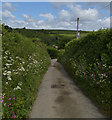 SW Coast Path following a road to Porthoustock