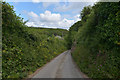 SW Coast Path following a road to Porthoustock