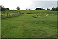 Footpath towards Maidford