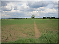 Footpath to Thorpe Lane from Fleets Road