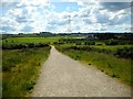 Path in Dams to Darnley Country Park