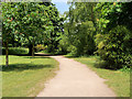 Path on the north side of The Mere