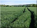 Farmland, Blewbury