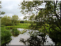 SJ5509 : Attingham Park, River Tern by David Dixon