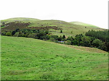 NT9726 : Grassland south-west of Kenterdale Hill by Andrew Curtis
