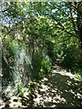 Public footpath, north bank of the River Aire, Charlestown