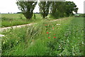 Track and bridleway to Farthingstone