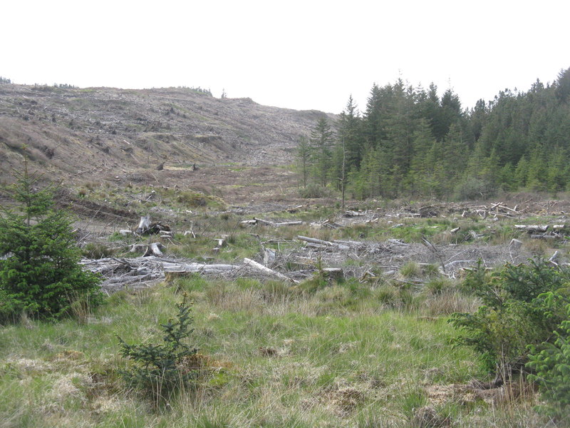 forest-clearance-in-mishnish-m-j-richardson-geograph-britain-and