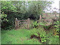 Llwybr Ceffyl Penlone / Penlone Bridleway