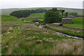SD7993 : River Ure below Ure Force by Ian Taylor