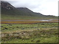 NG5622 : Salt marsh at the head of Loch Slapin by Rudi Winter