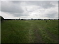 Deserted car-boot sale site