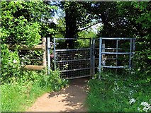 SP4816 : Kissing gate on the footpath by Steve Daniels