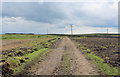 Track on Accrington Moor (1)