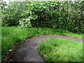 Bend in a path through Bargoed Woodland Park