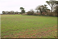 SX8154 : Arable field, Tideford by Derek Harper