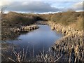 Pond near former Lime works