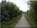 Derby Canal path west of Chellaston (2)