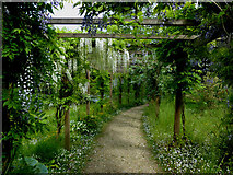 ST6604 : Minterne House gardens by Chris Gunns