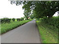 Hedge-lined minor road near to Tanfield Mill