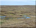 Old peat workings