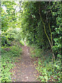 Overgrown footpath to B1108