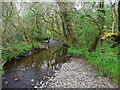 Stream near the car park for Cwm Lliedi Reservoir