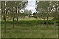 TM2951 : Poplar plantation by the River Deben by Simon Mortimer