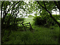 Redundant stile on the Wye Valley Walk