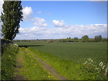 SK3930 : Field east of Chellaston by Richard Vince