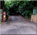 Leafy part of Park Close, Newport