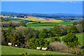 North Devon : Countryside Scenery