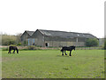 The disused Dudfleet Mill